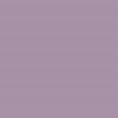 Tulip Purple