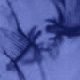 Tie-dye Blue Iris