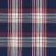 Blue and Red Plaid