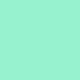 Fresh Green Onion