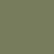 Catkin Green