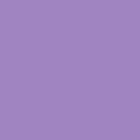 Iris Flower Purple