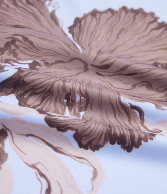 Halara X Yukiko High Waisted Straight Leg Floral Print Casual Pants with Pockets