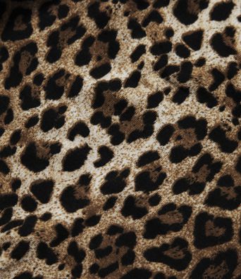 Round Neck Long Sleeve Tie Back Leopard Print Slim Casual Top