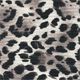 Wild Orchid Spot