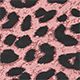 Blush Panther