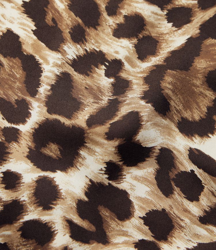 V Neck Long Sleeve Leopard Print Cropped Casual Blouse