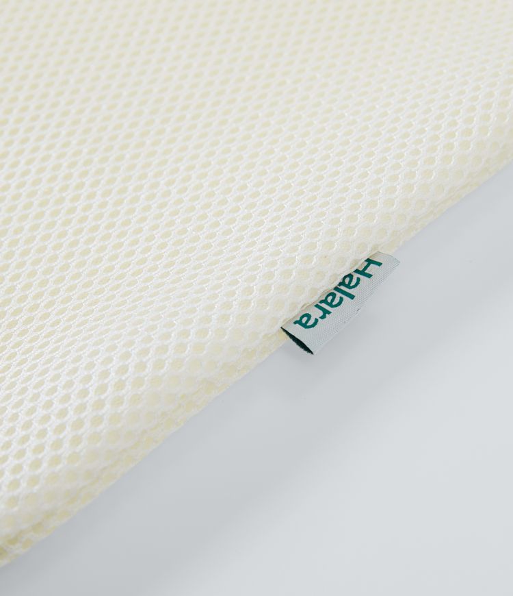 Filet de lavage en mesh