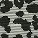 Snow Leopard Gray