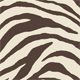 Cocoa Zebra