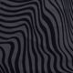 Onyx Zebra