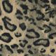 Desert Leopard