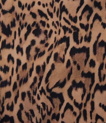 Halara UltraSculpt™ Leopard Print High Waisted Tummy Control Training Biker Shorts 5'' with Pockets