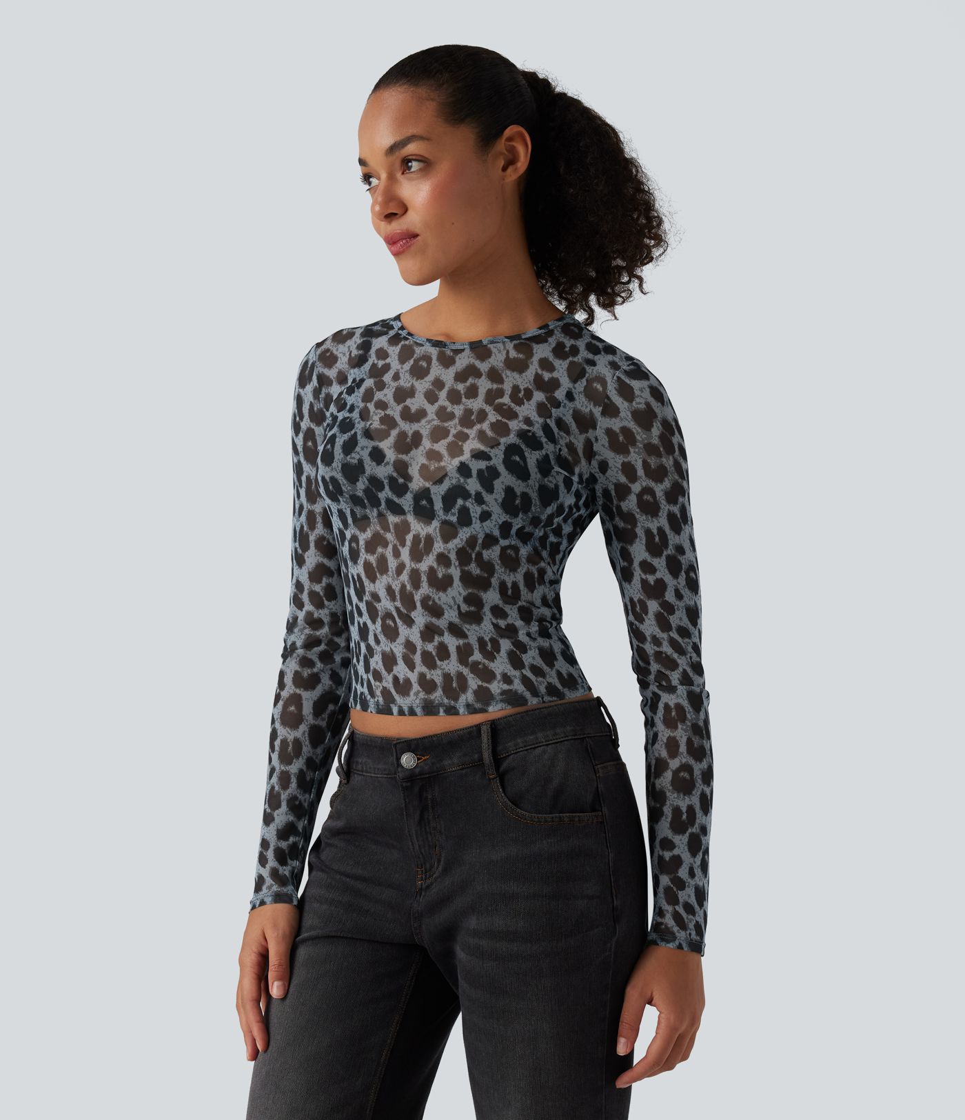 Round Neck Long Sleeve Leopard Print Sheer Mesh Casual Top