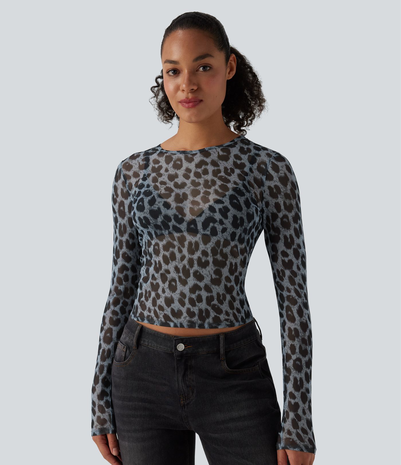 Round Neck Long Sleeve Leopard Print Sheer Mesh Casual Top
