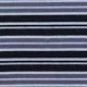 Iris Stripe
