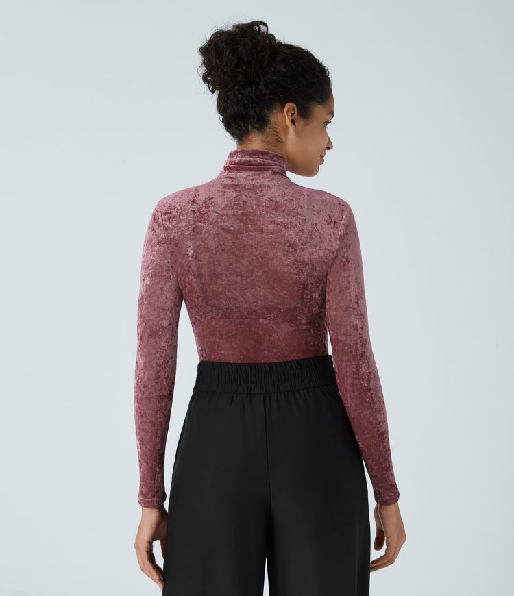 Sheer High Neck Long Sleeve Velvet Casual Top