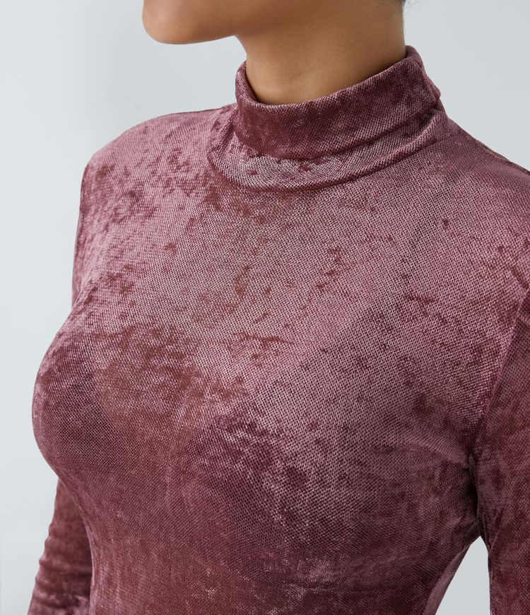 Sheer High Neck Long Sleeve Velvet Casual Top