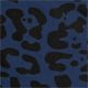 Midnight Leopard