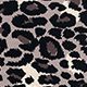 Black Leopard