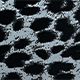 Moonshadow Leopard