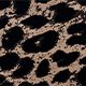 Toffee Leopard