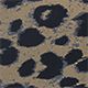 Classic Leopard Print