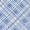 Plaid - Light Blue
