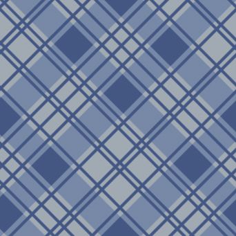 Plaid - Medium Bule