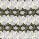 Olive Cream Stripe