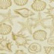 Sand Seashell