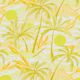 Sunbeam Palm