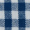 Lagoon Gingham