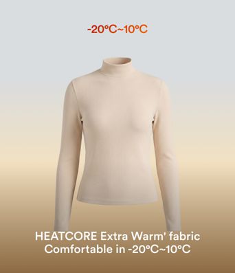 Halara HeatCore Mock-neck Long Sleeve Casual Warming Top