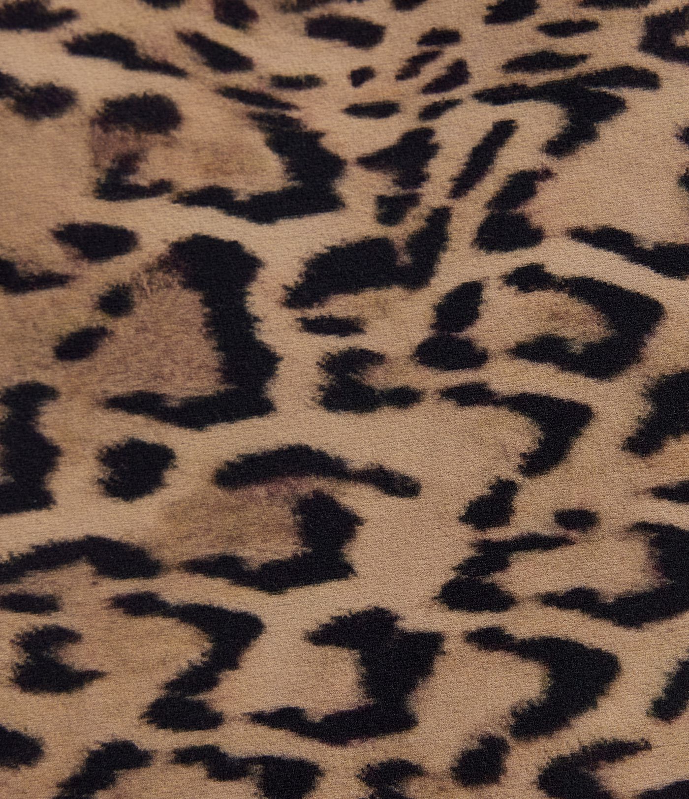 Halara UltraSculpt™ Leopard Print High Waisted Tummy Control Straight Leg Yoga Shorts 5'' with Pockets