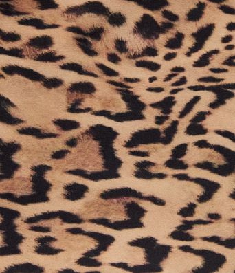 Halara UltraSculpt™ Leopard Print High Waisted Tummy Control Color Block Stripe Capri Training Leggings with Pockets