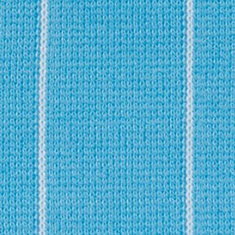 Poolside Blue Stripe
