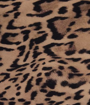 Halara UltraSculpt™ Leopard Print High Waisted Tummy Control Color Block Stripe Training Biker Shorts 5'' with Pockets