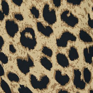 Toffee Wildcat Print