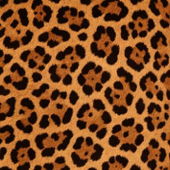 Golden Wild Leopard