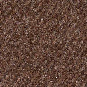 Walnut Shell