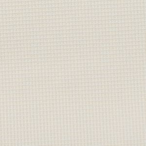 Buttermilk White