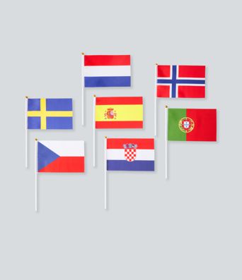 Fan Cheer Flag