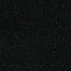 Polish Black