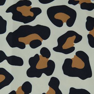 Daring Leopard