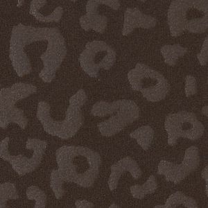 Prairie Wild Dark Leopard