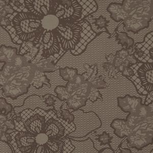 Cedarwood Lace