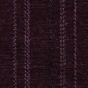 Cellar Plum