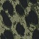 Olive Noir