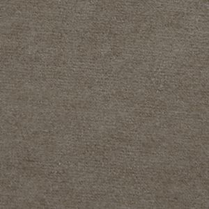 Apricot Flower Gray